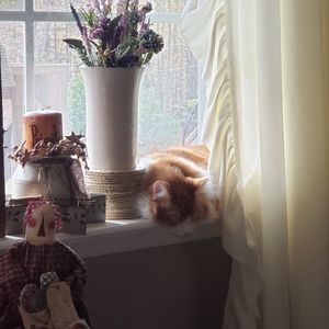 Meet your Posher, Michele